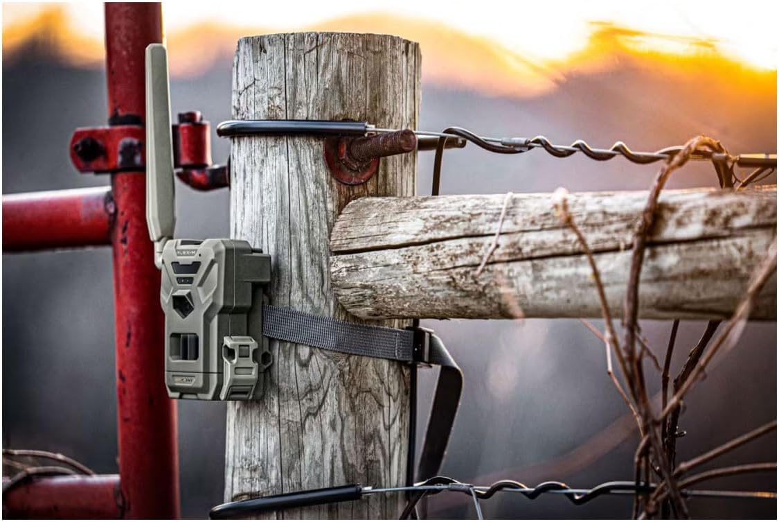 SPYPOINT FLEX-M Twin Pack Cellular Trail Cameras - Best Value in Hunting Accessories, No WiFi Needed, GPS, Night Vision, Dual-Sim LTE, IP65 Water-Resistant, 28MP Photos, 720p Videos + Sound (2)